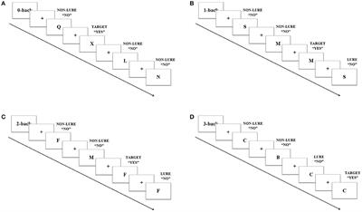 Interactive Effects of Dopamine Baseline Levels and Cycle Phase on Executive Functions: The Role of Progesterone